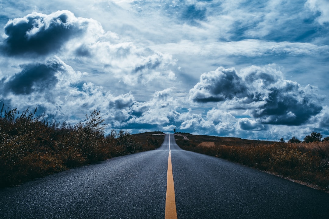Market Reactions and the Road Ahead