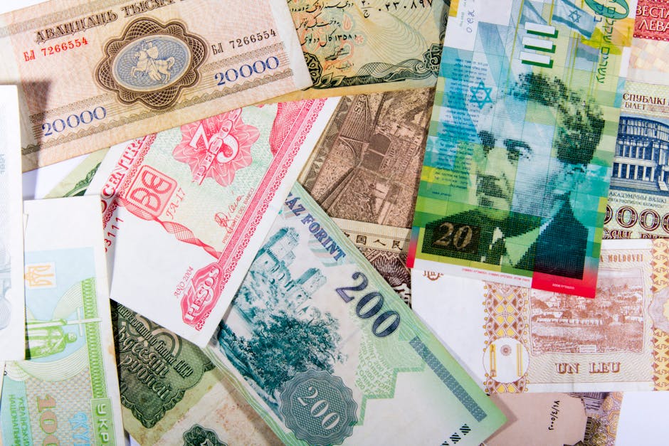 Practical Ways to Add International Exposure Now