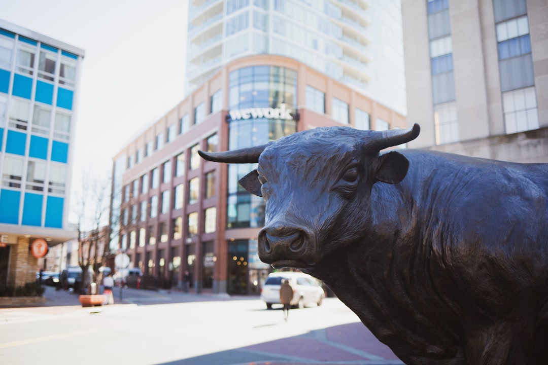 What This Means for Investors