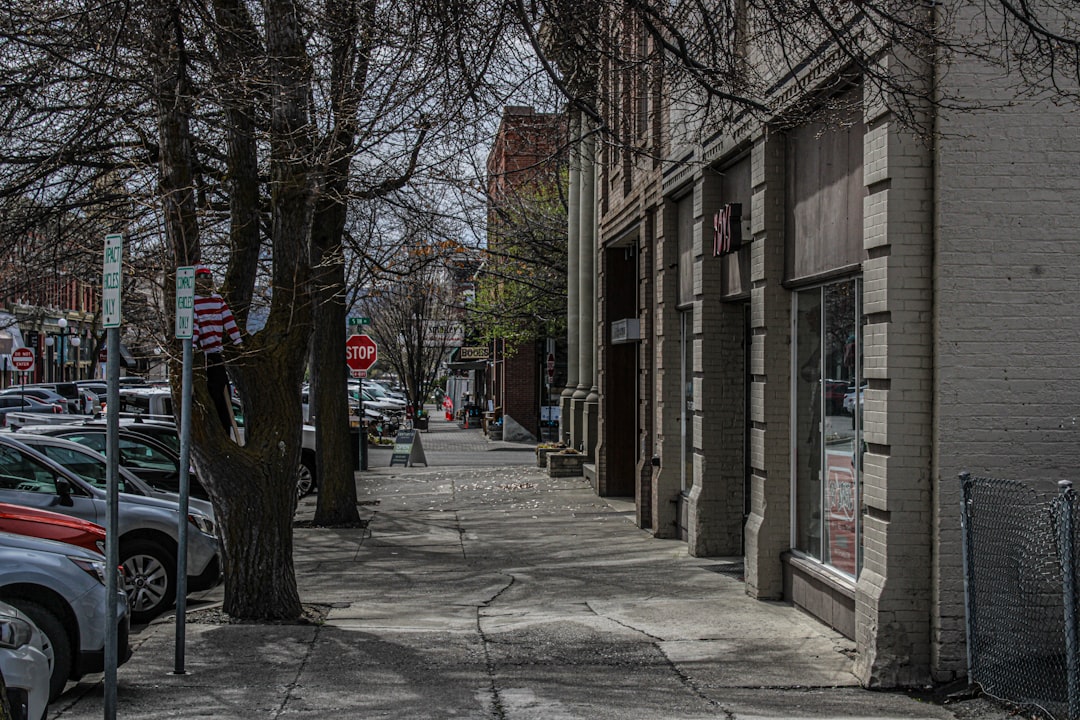 Voices From The Street