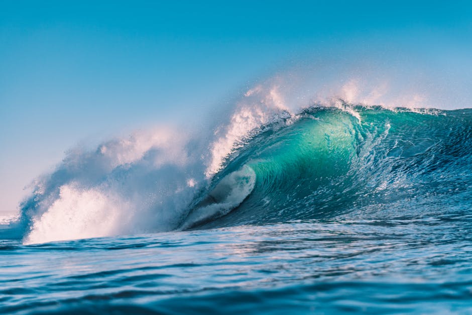 The Numbers Behind the 2025 Wave
