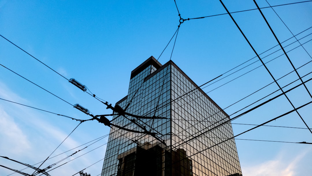 Regulation, Stablecoins, and Global Dynamics