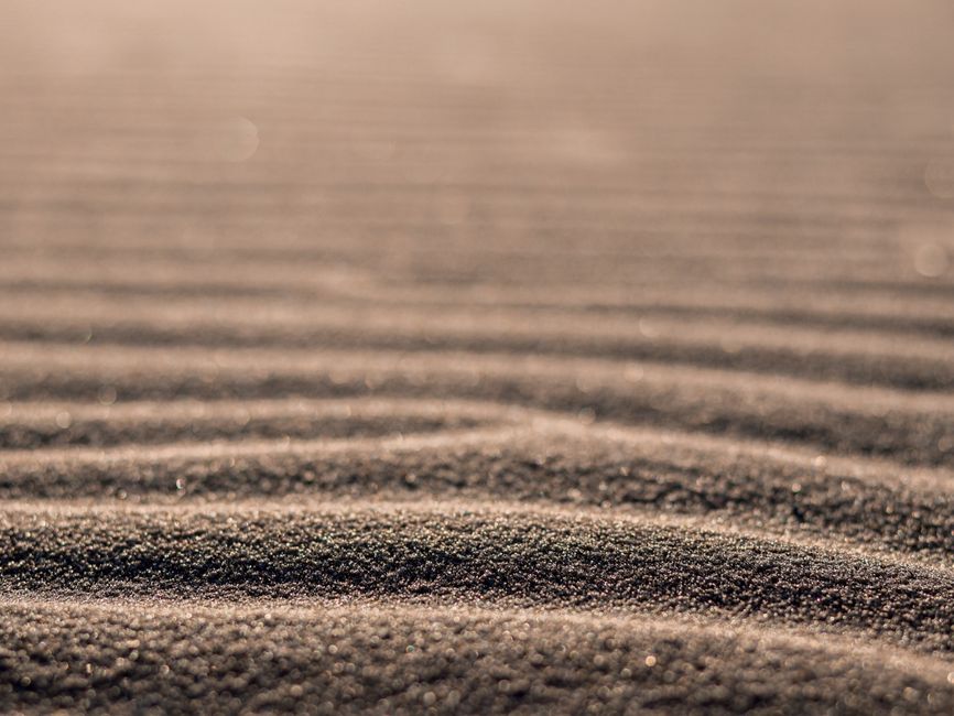Interpreting the Q&A: Signals in the Sand