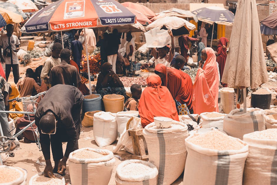 Market Context and Policy Backdrop