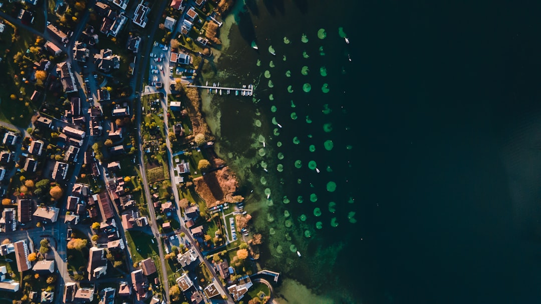 Expert Perspective and Real‑World Data