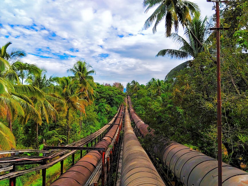 Pipeline and Partnerships: Catalysts for 2026