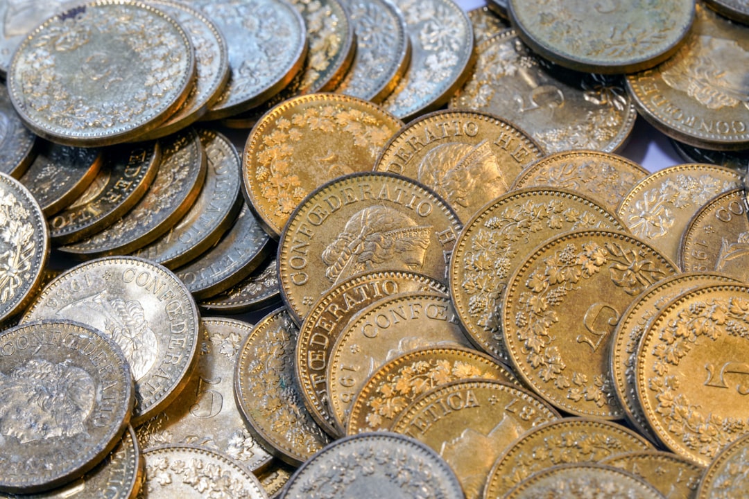 Revenue and Margin Dynamics: Interpreting the Numbers