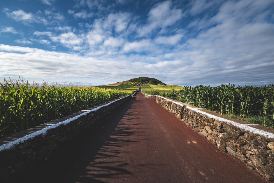 What This Means for Adobe’s Path Forward