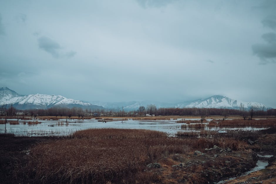 Forecast Framework: 2026, 2027, 2030