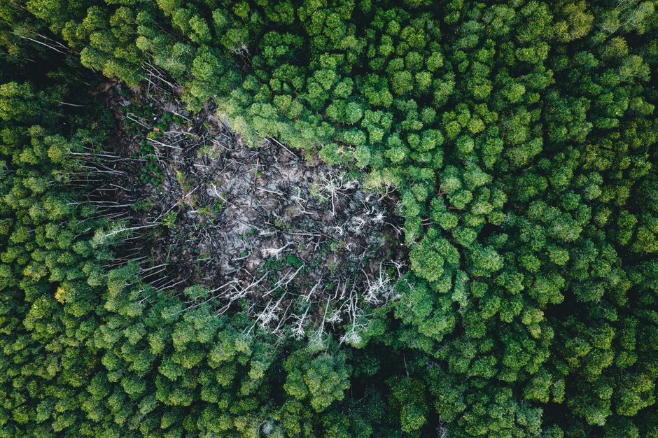 Risk management: the heart of sustainable performance
