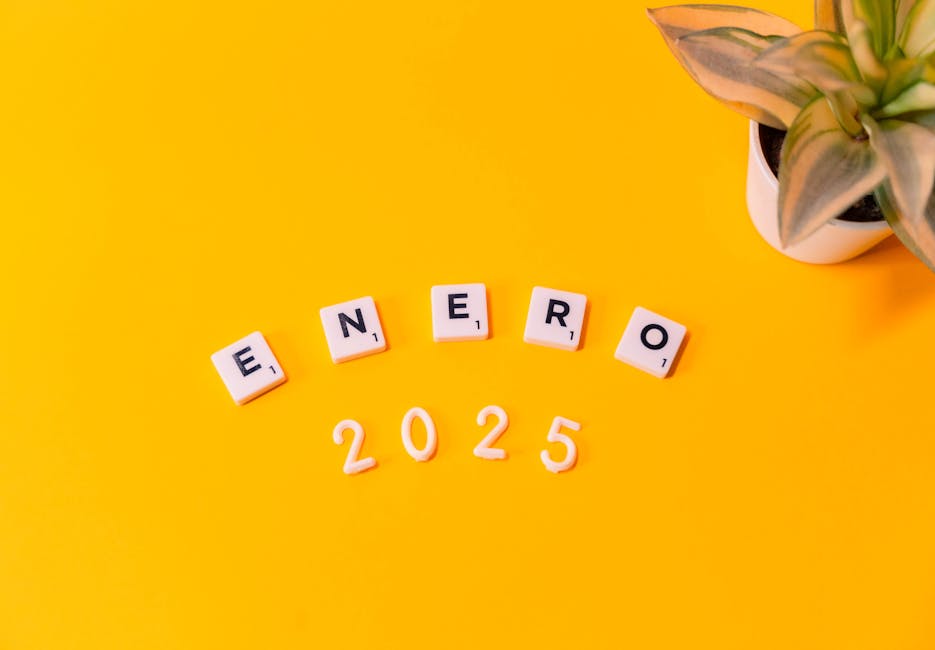 Q2 2025 Highlights: What the Numbers Show
