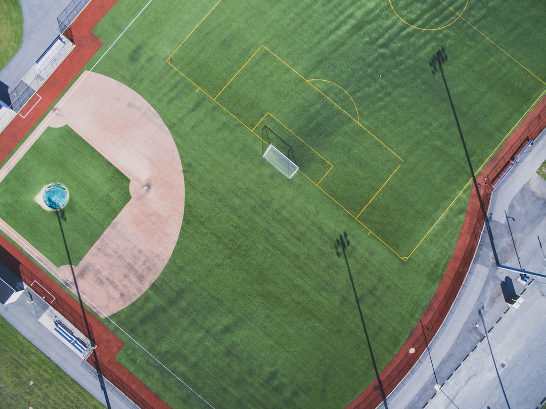 Why The Pitch Attracts Income Investors