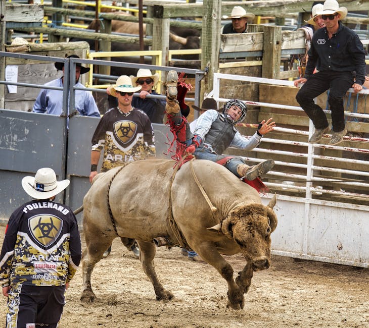 The Bull Case: Why This Dip Could Lead to Opportunity