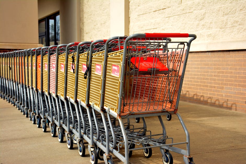Bottom Line: Should You Buy Now or Wait?