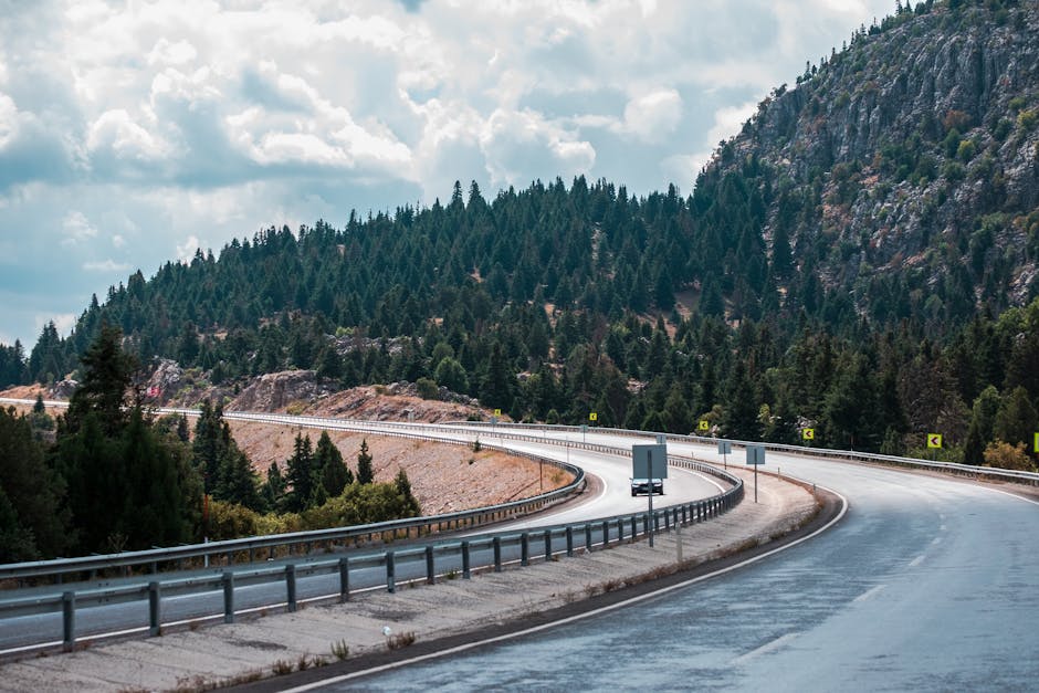 What Comes Next: The Regulatory Roadmap and Economic Implications
