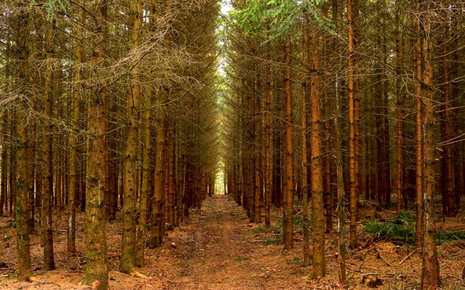 Bottom Line: A Narrow Path Forward