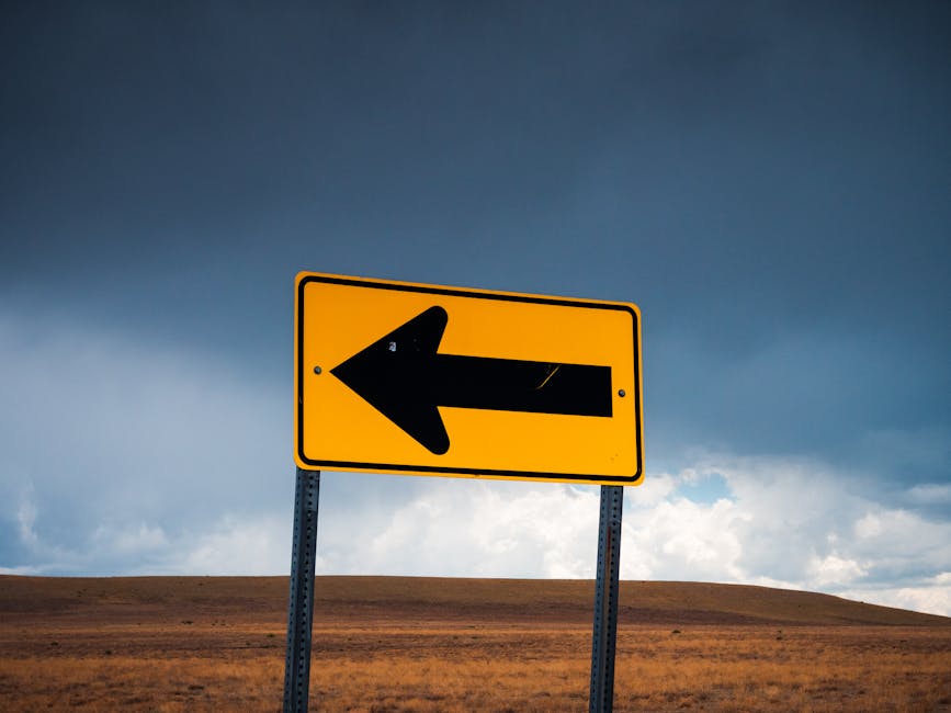What Comes Next: A Roadmap for Investors