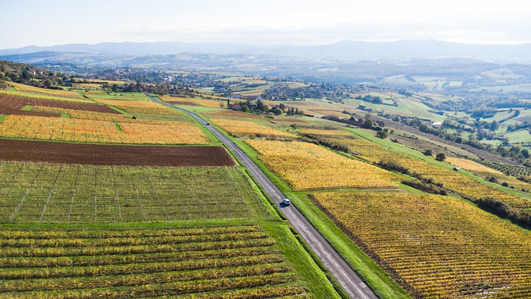 Fuel Costs and Hedging: The New Risk Landscape