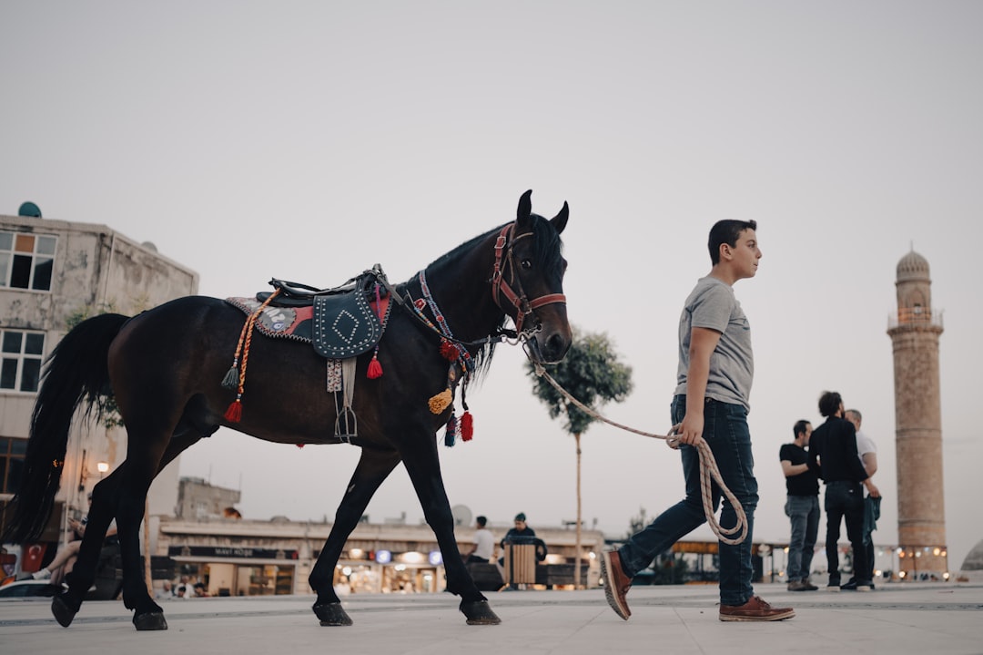 How AI Enables a One-Person Unicorn