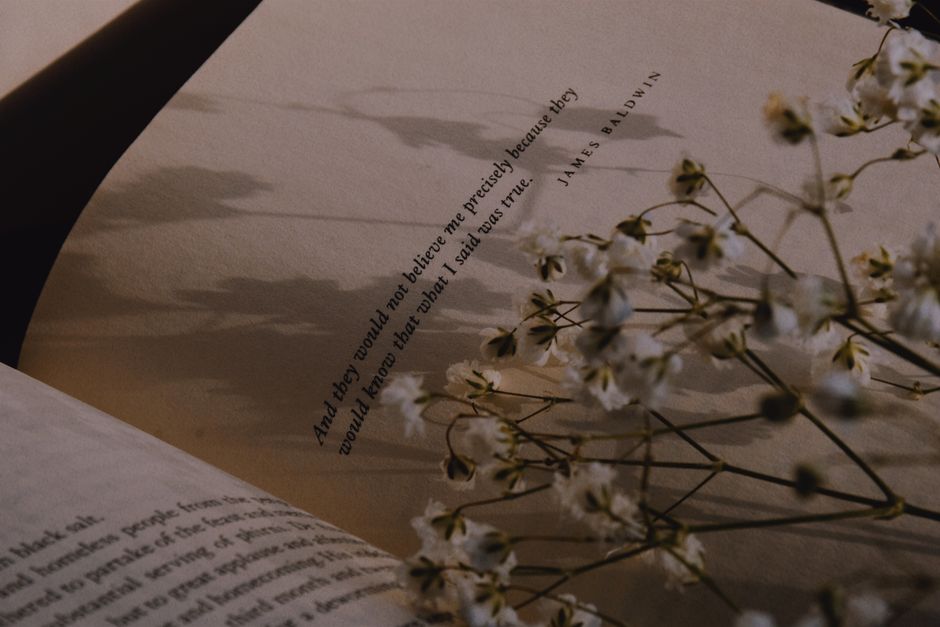 Quotes shaping the narrative