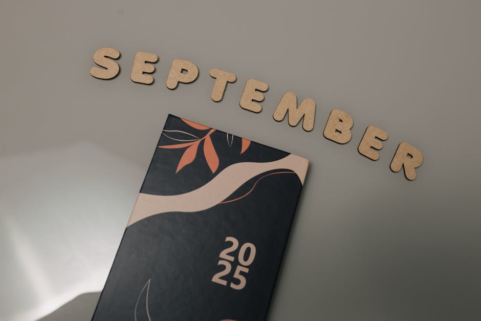 Timeline and Milestones: What to Expect Next