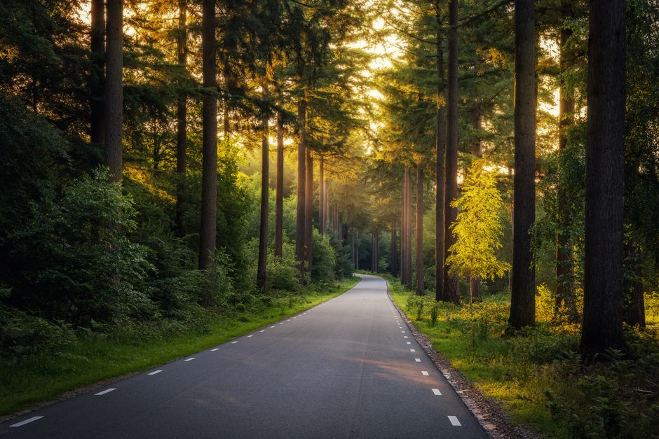 What Could Propel Shares Higher? The Roadmap for AI Monetization