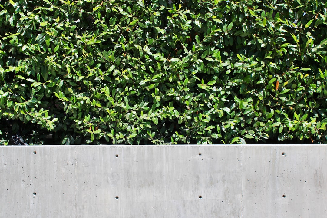 Two Questions Every Investor Should Ask Now