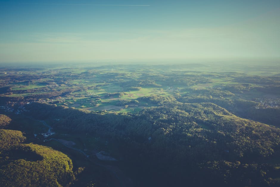 Competitive Landscape and Risks to Watch