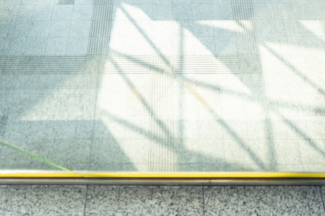 Policy Pathways: What Could Shape Outcomes?