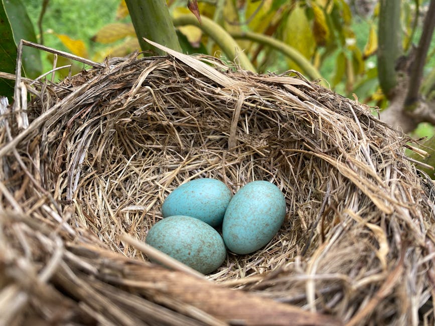 What a $500K Nest Egg Means in Practice