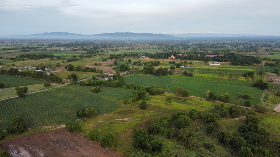 Rural communities feeling the pinch