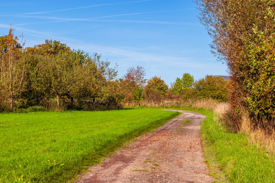 A Clear Path Forward: What Buyers and Vendors Can Do