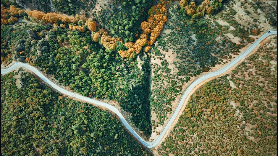 Risks and Competitive Landscape