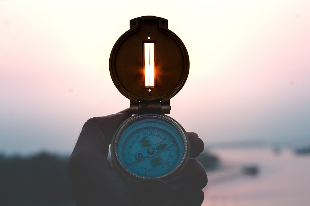 Looking Ahead