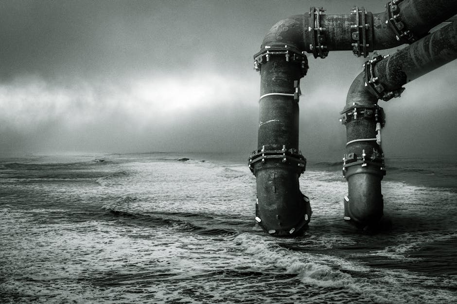 Pipeline Progress: The 2026 Growth Engine