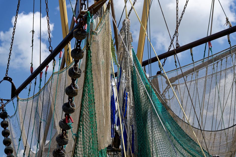 Why The Safety Net Is Robust In 2026