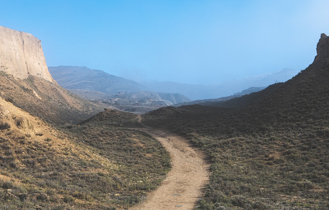 Which Path Fits Your Portfolio: Argan vs. Comfort Systems USA