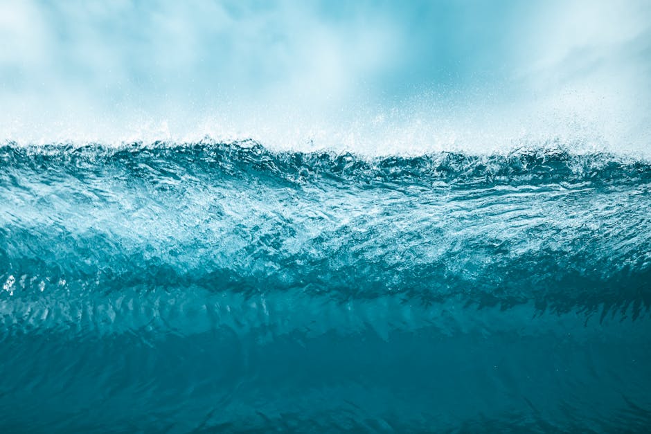 The Inflation Wave: How It Took Hold