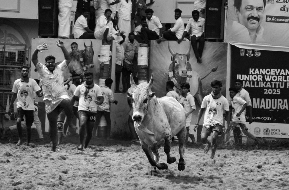 The Bull Case: Why the Rally Has Legs