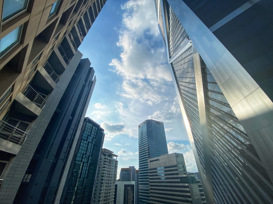 Outlook: The Path Forward Amid Uncertainty