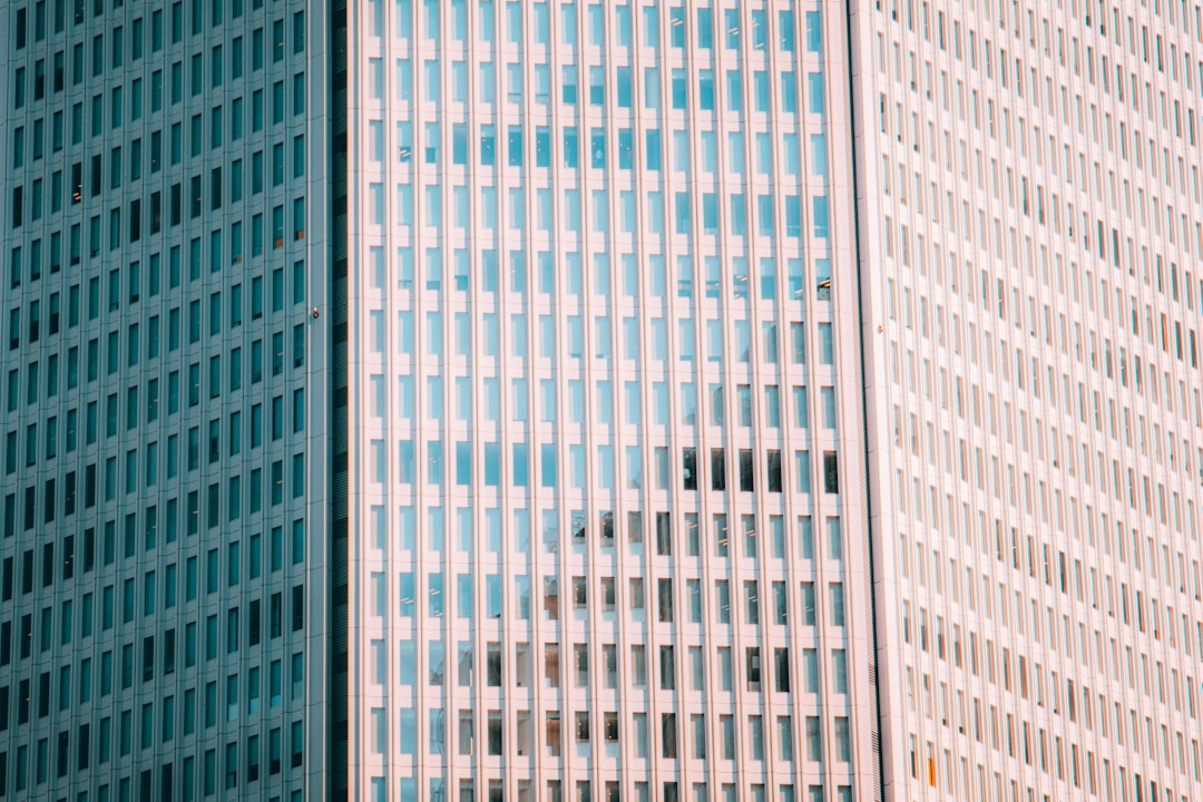 Policy Responses and Outlook