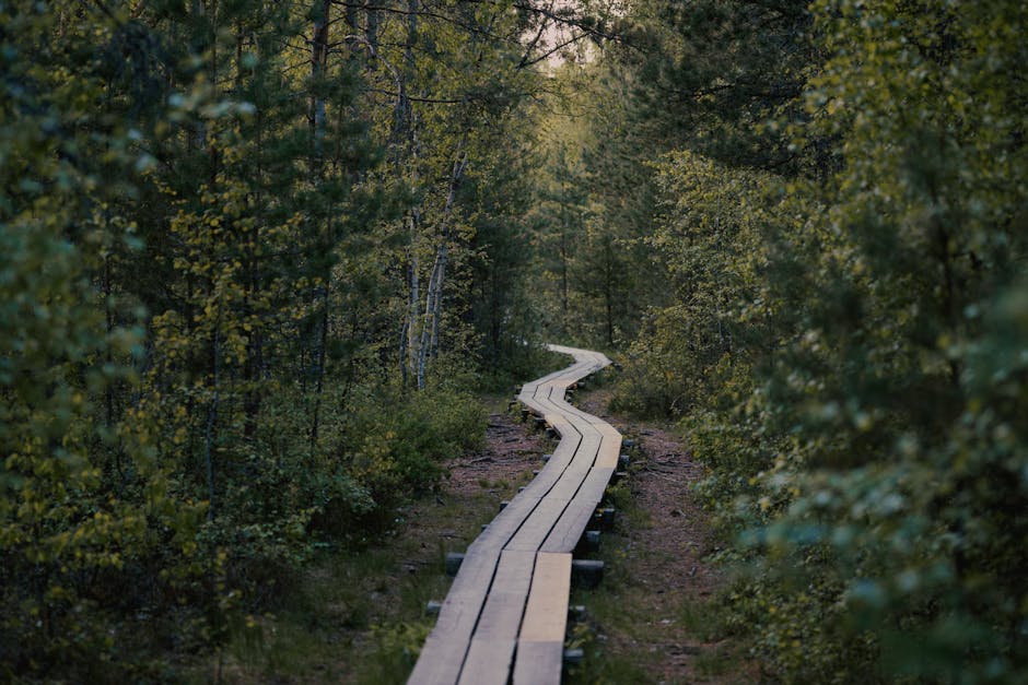 Real-World Path: How to structure an encore career