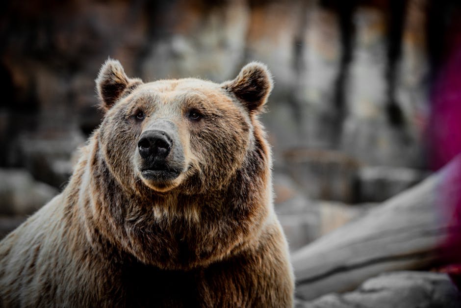 Bear, Base, And Bull Scenarios: What Could The Turnaround Actually Deliver?