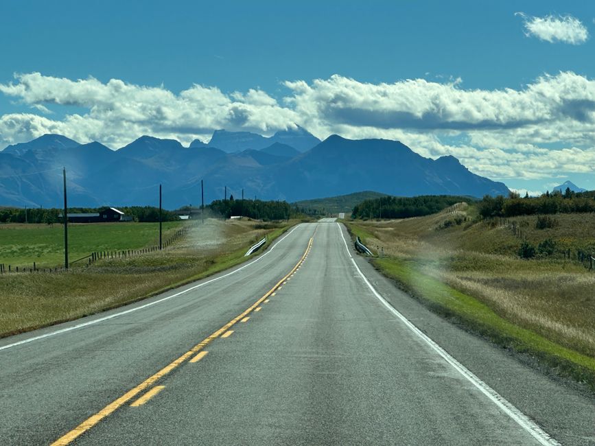 Market Conditions and the Road Ahead