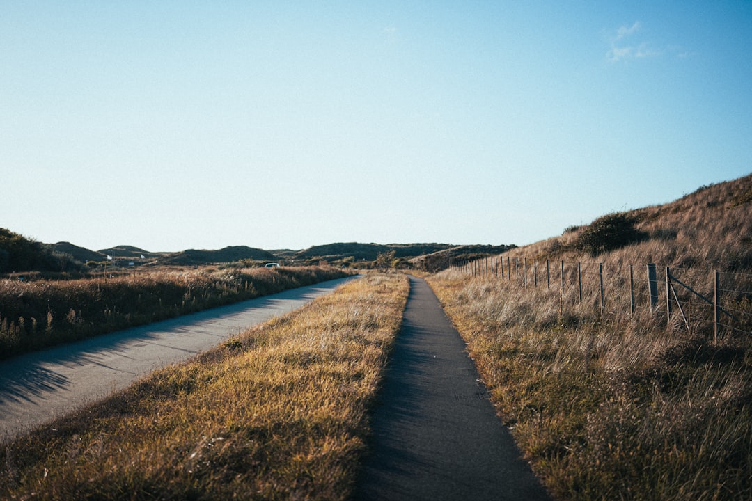 H2: Real-world scenarios: two paths to success