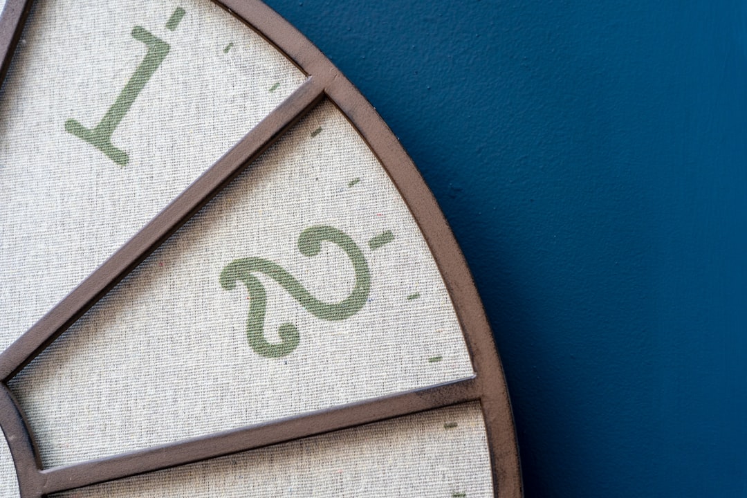 Timeline and Next Steps