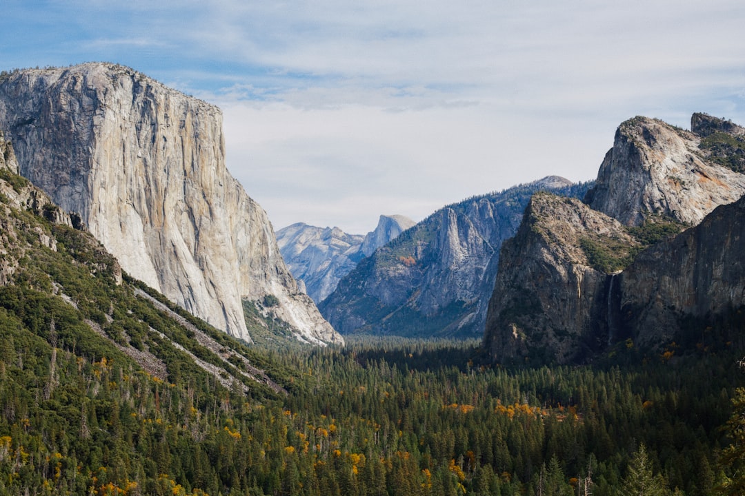 Expanded Ecosystem: Apps, Browsers, and Tools