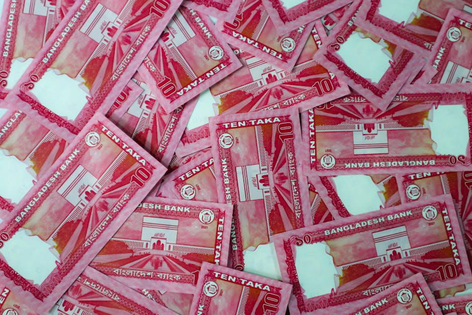 Policy Path and What It Means for You