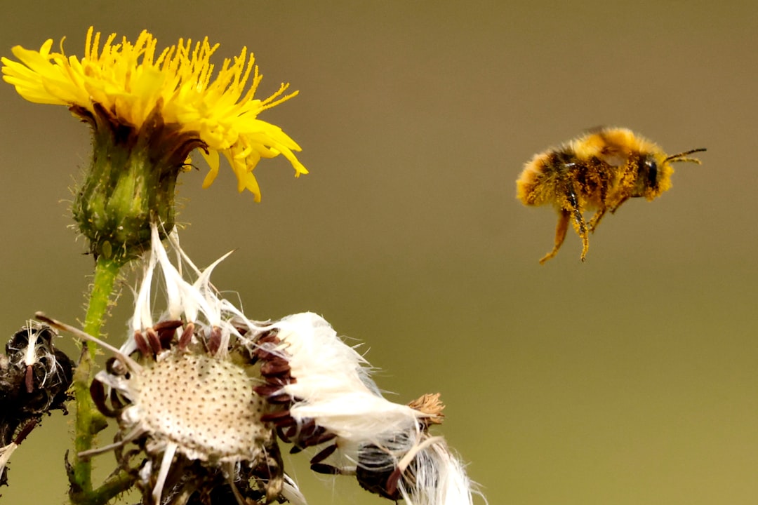 Conclusion: your playbook to pick the best credit card rewards programs to compare