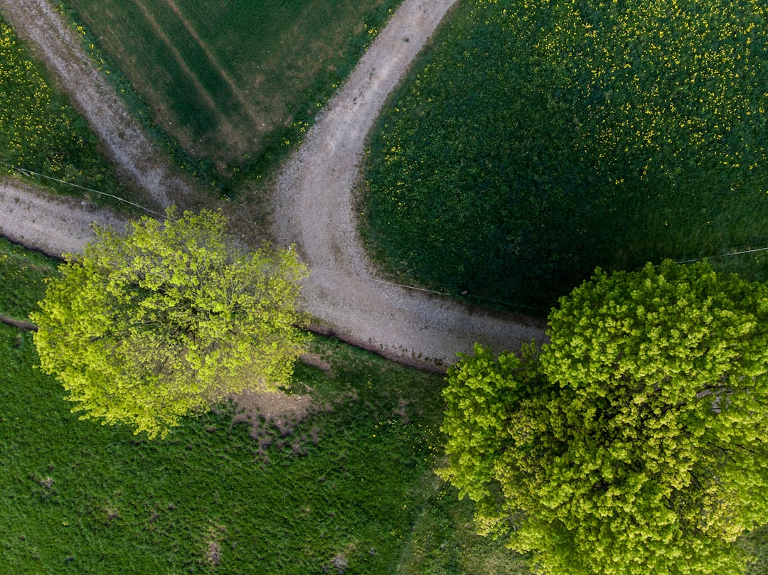 Alternative paths: other tools to reduce credit card costs